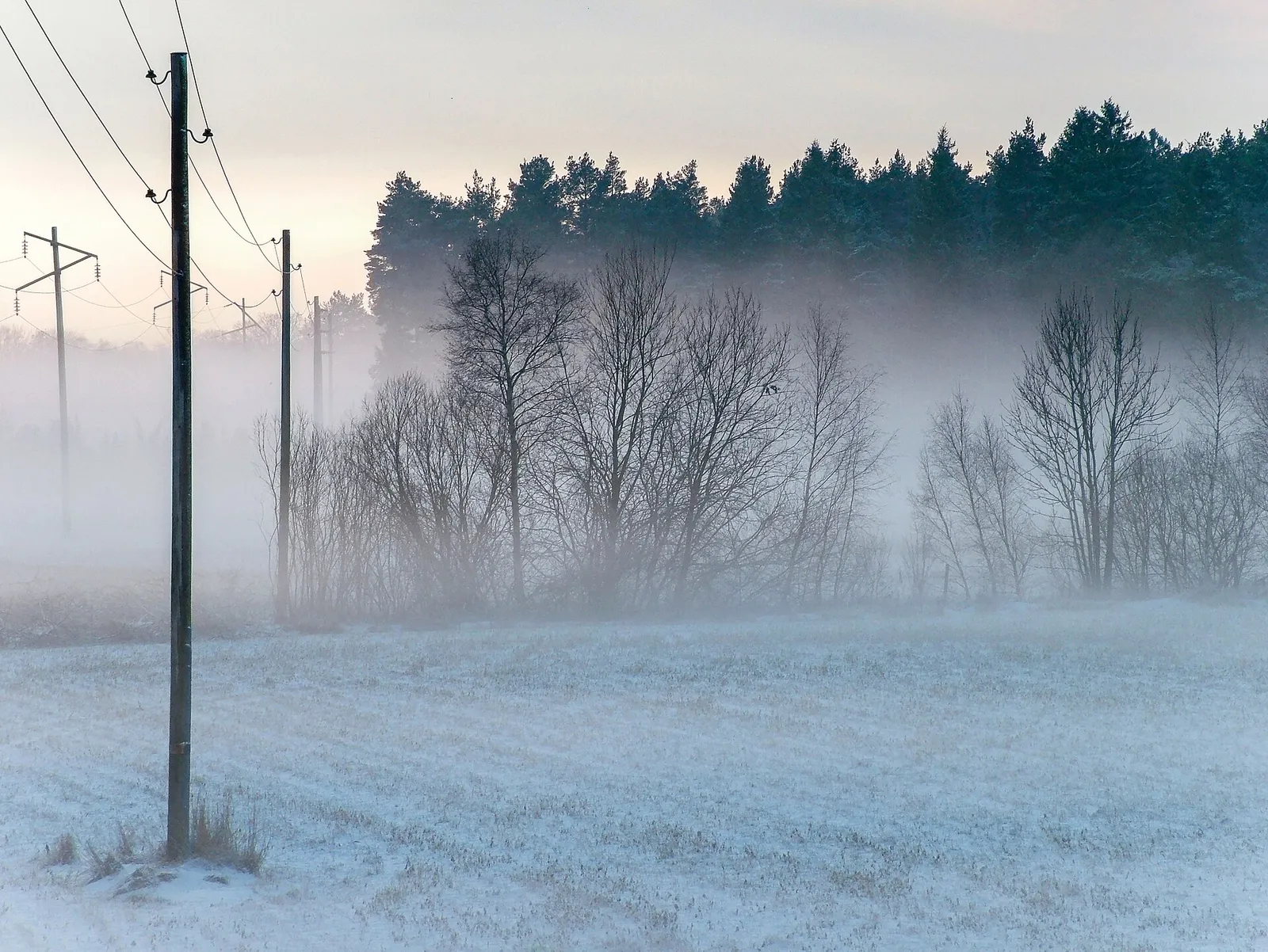 Ledningsstolpar längs en snöig väg