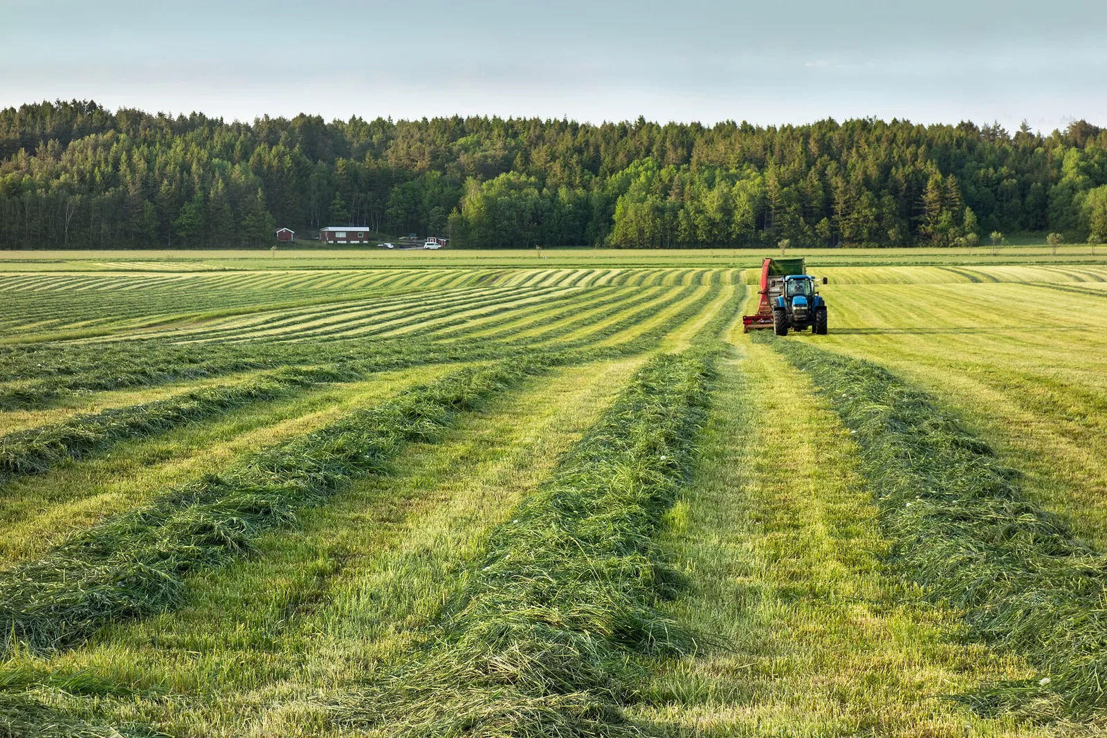 En traktor på ett åkerfält
