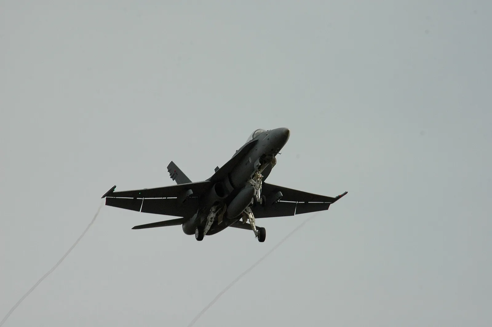 Finskt stridsflygplan av typen F/A-18 Hornet, arkivbild