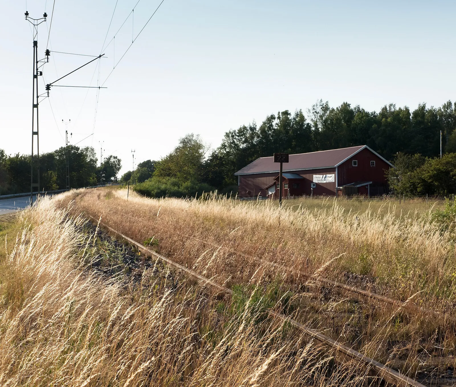 Järnvägsspår i sommarlandskap