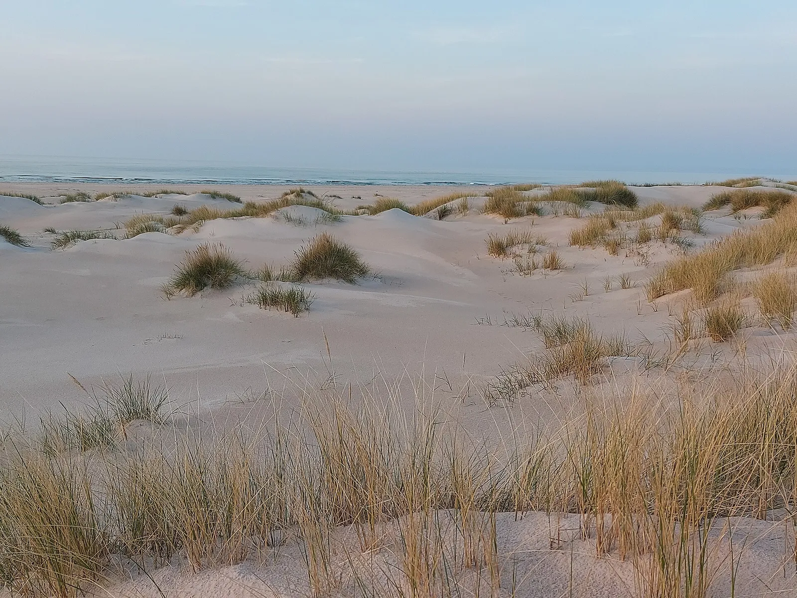 Svensk sandstrand en sommardag (genrebild)