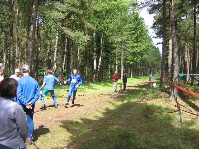 Orienterare i skog (genrebild)