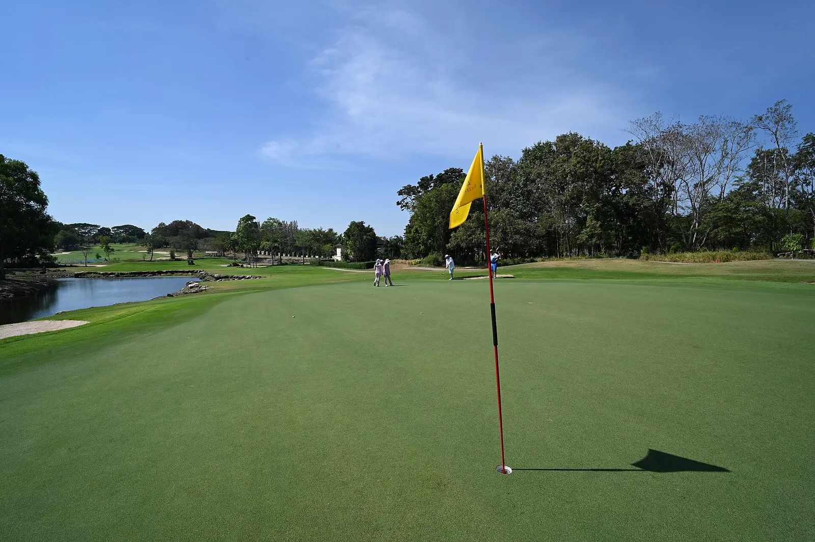 Arkivbild: golfare på en green