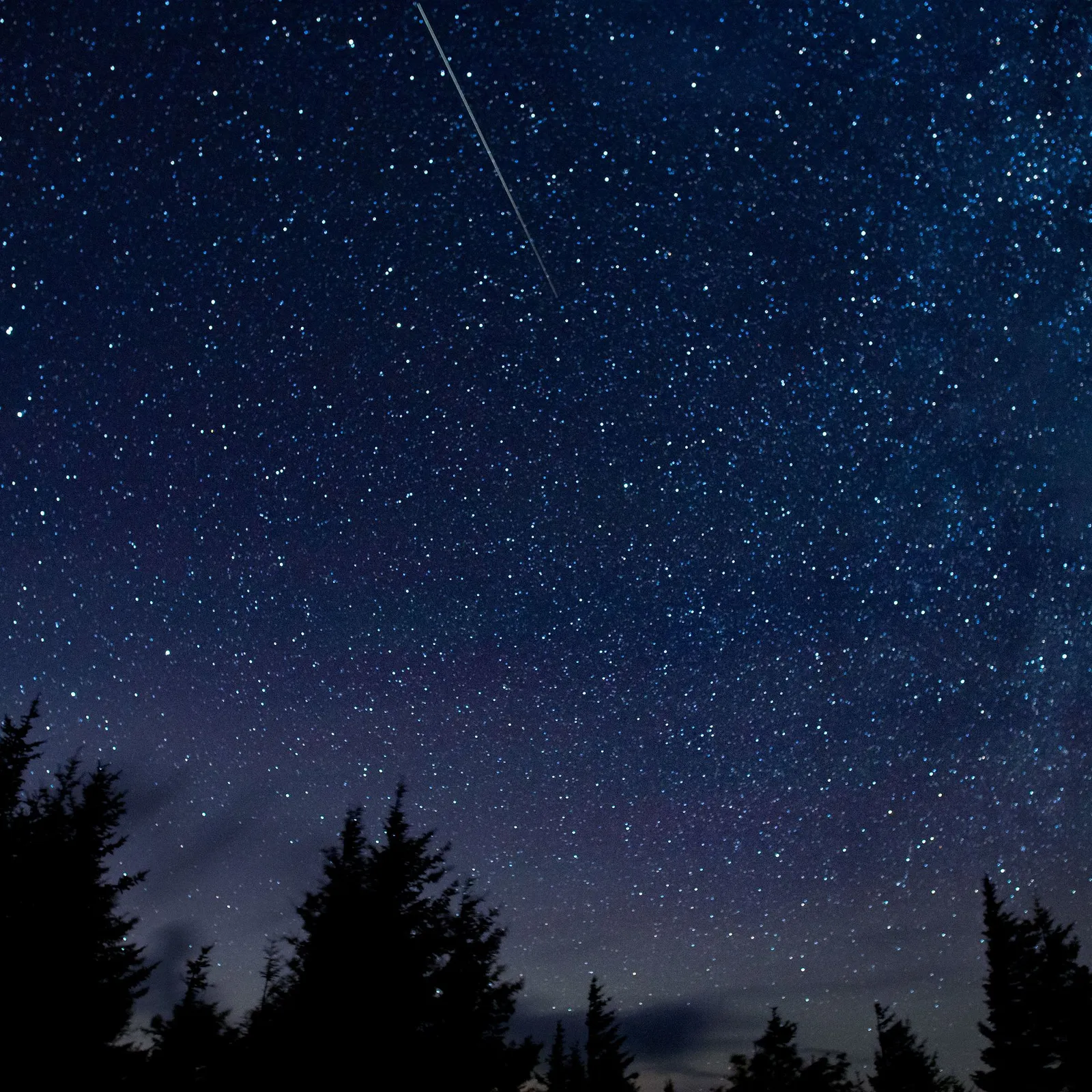 Meteorer stryker över stjärnhimlen under perseiderna