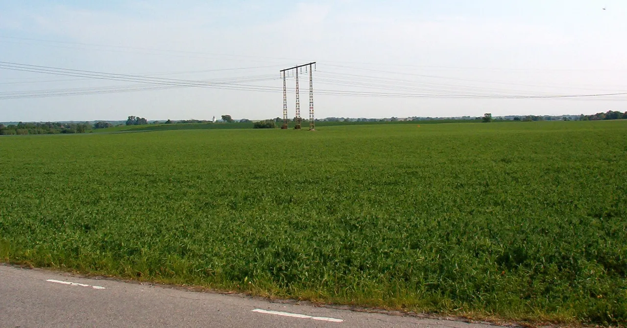 Sommarlandskap i Skåne (arkivbild)