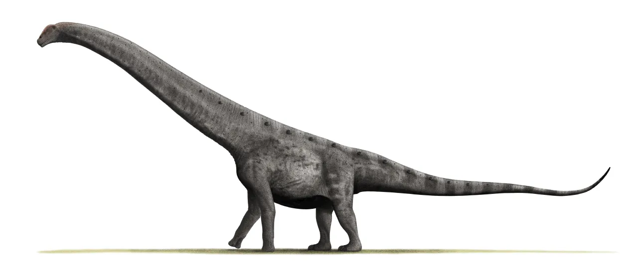Illustration av en långhalsad sauropod (genrebild)