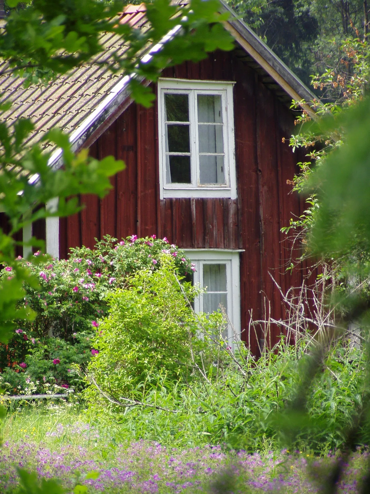 En röd svensk sommarstuga