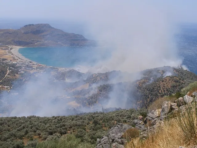 Skogsbrand i bergsterräng på Kreta