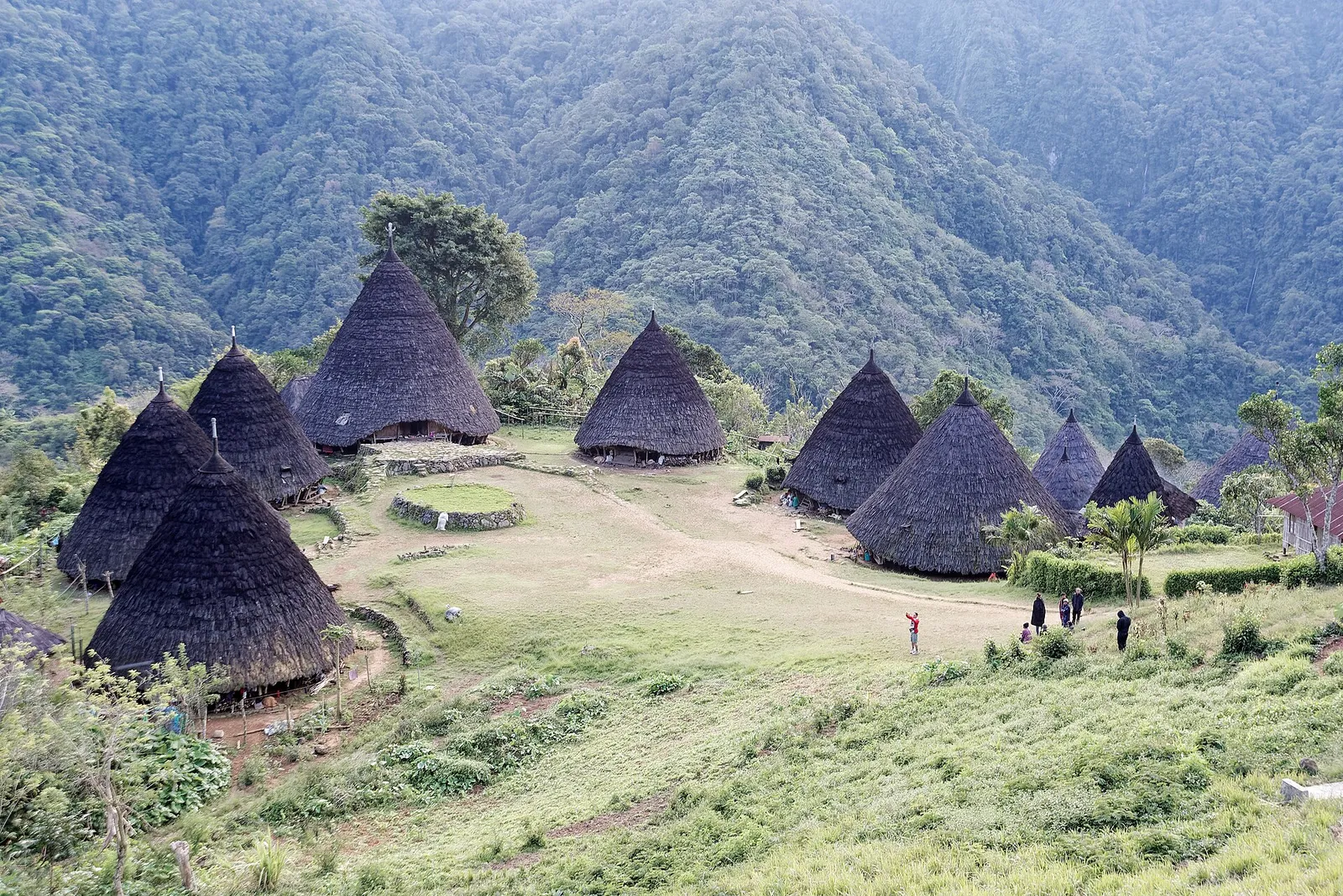By på ön Flores i Indonesien