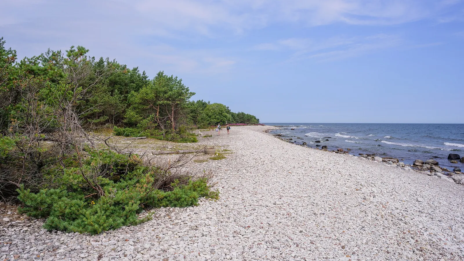 Landskap på Fårö, där Ingmar Bergman hade sitt sommarhus
