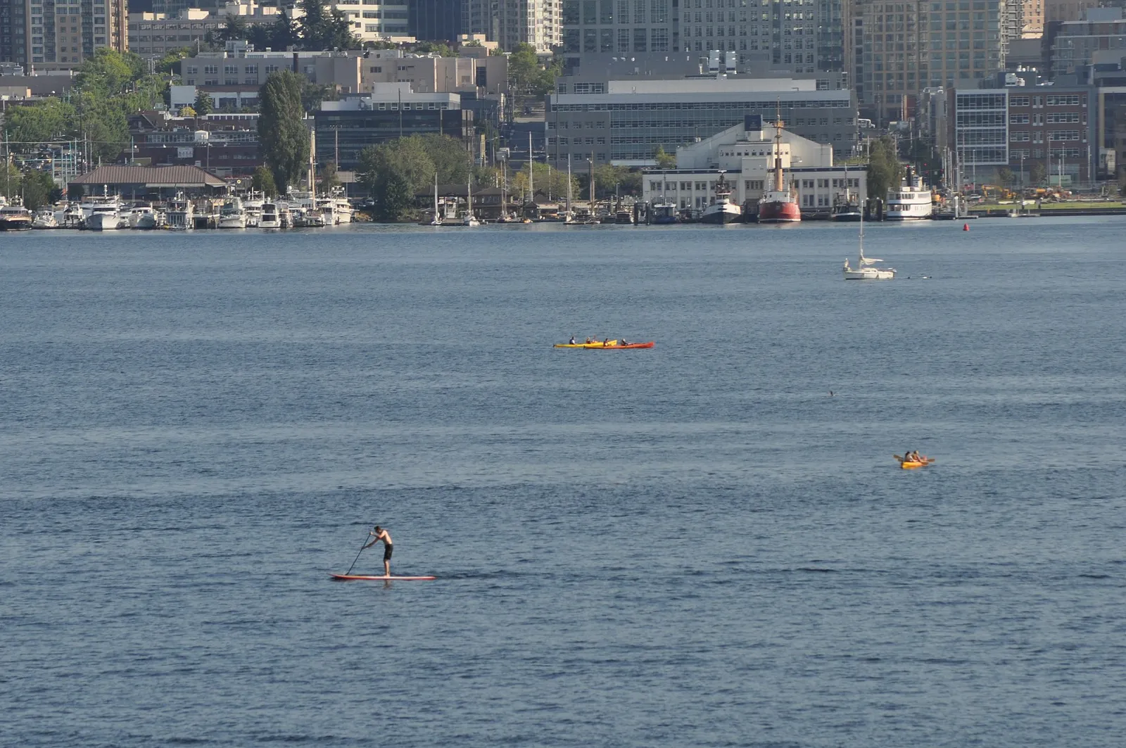 En person som paddlar stand up paddleboard på en sjö