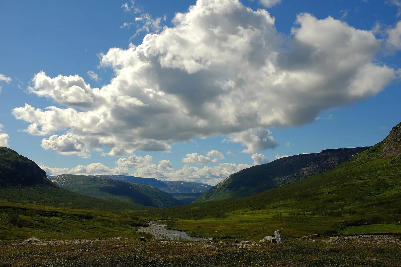 Arkivbild: norskt dallandskap