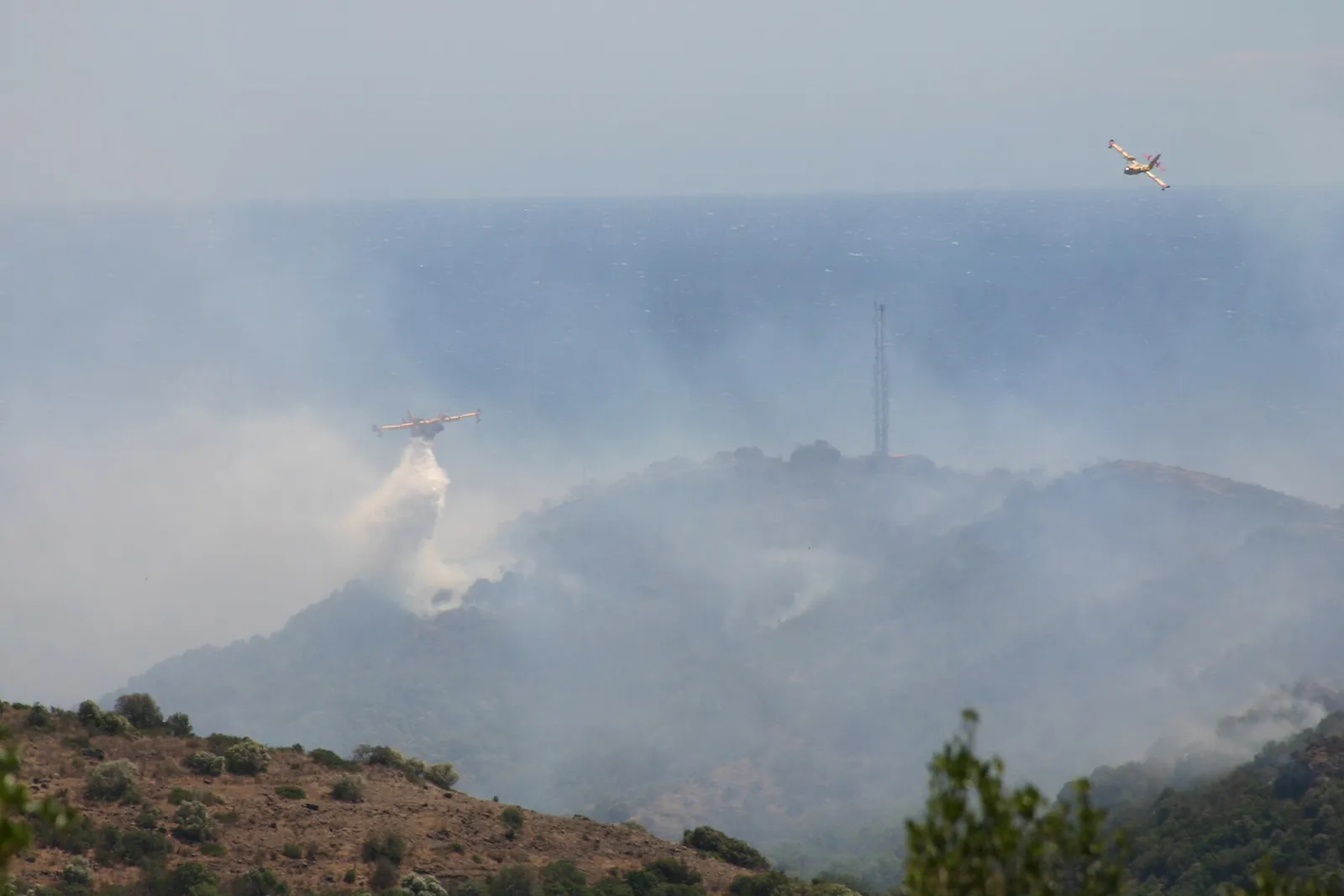 Ett brandflygplan fäller vatten över en skogsbrand i Frankrike (arkivbild)