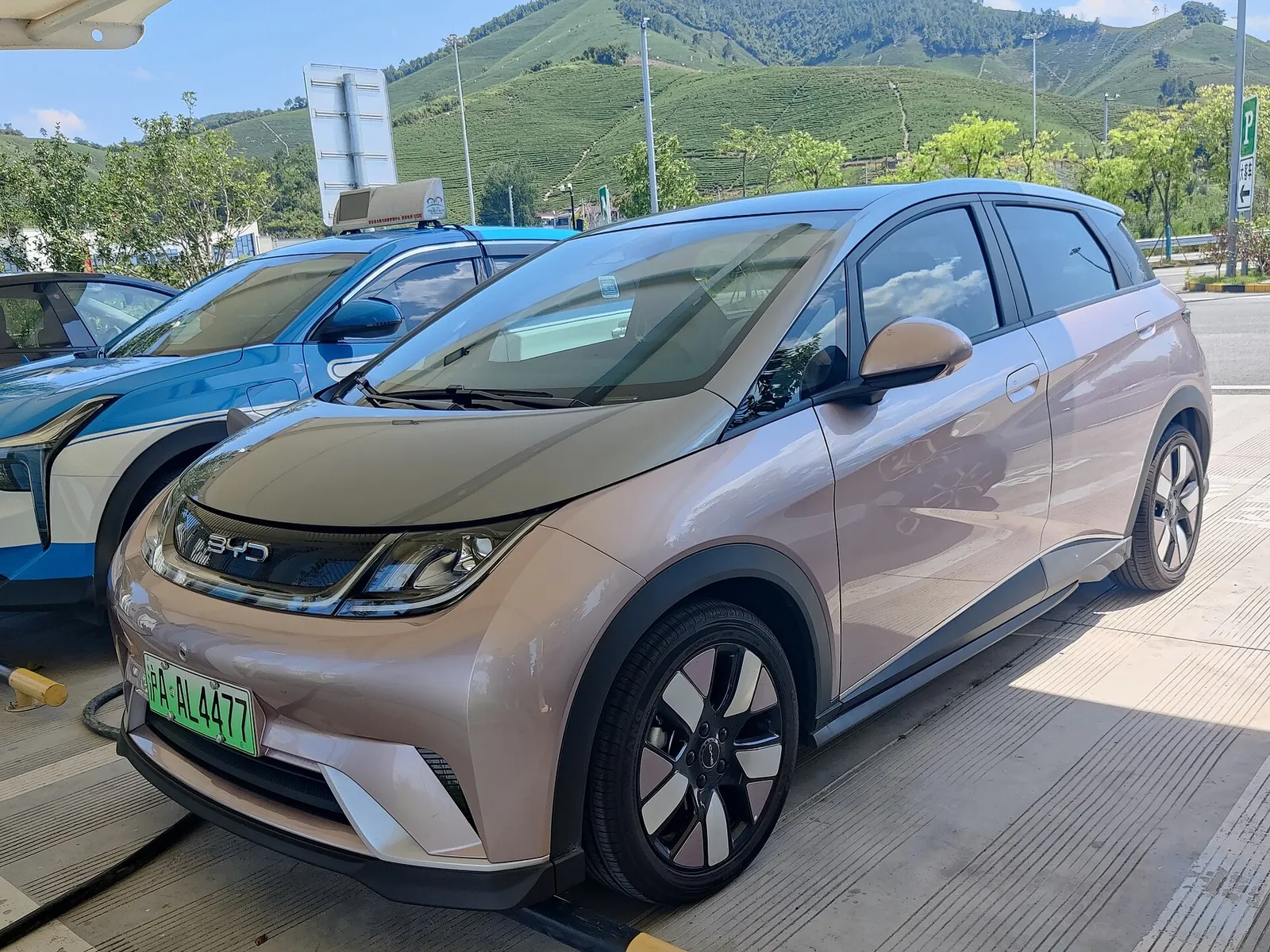 En BYD Dolphin elbil