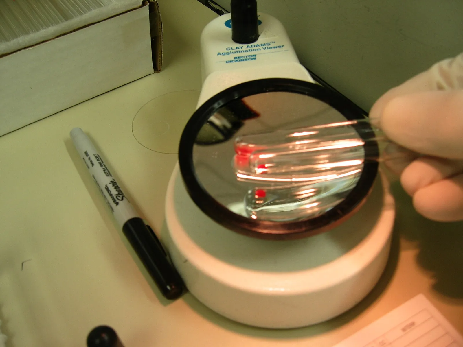 Ett provrör med blod på ett laboratorium