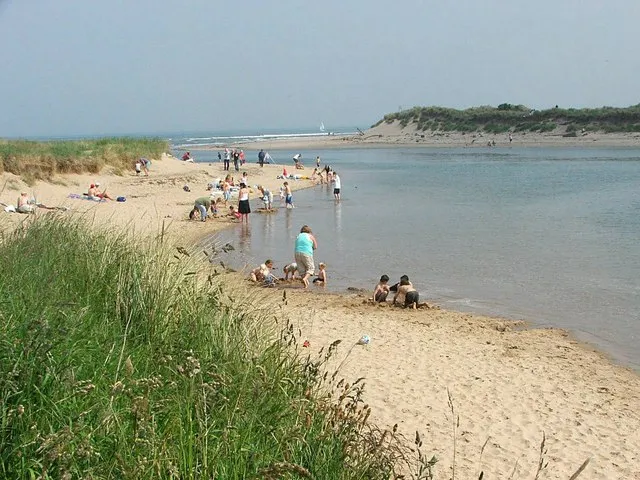 En badstrand en sommardag (genrebild)