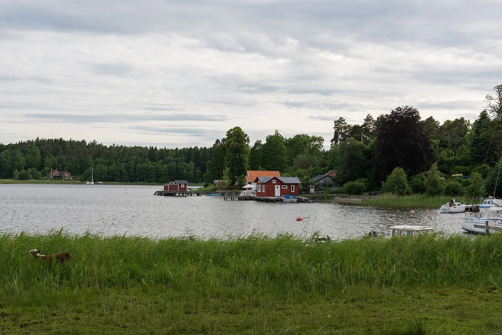 Skärgårdsmiljö i Stockholms skärgård