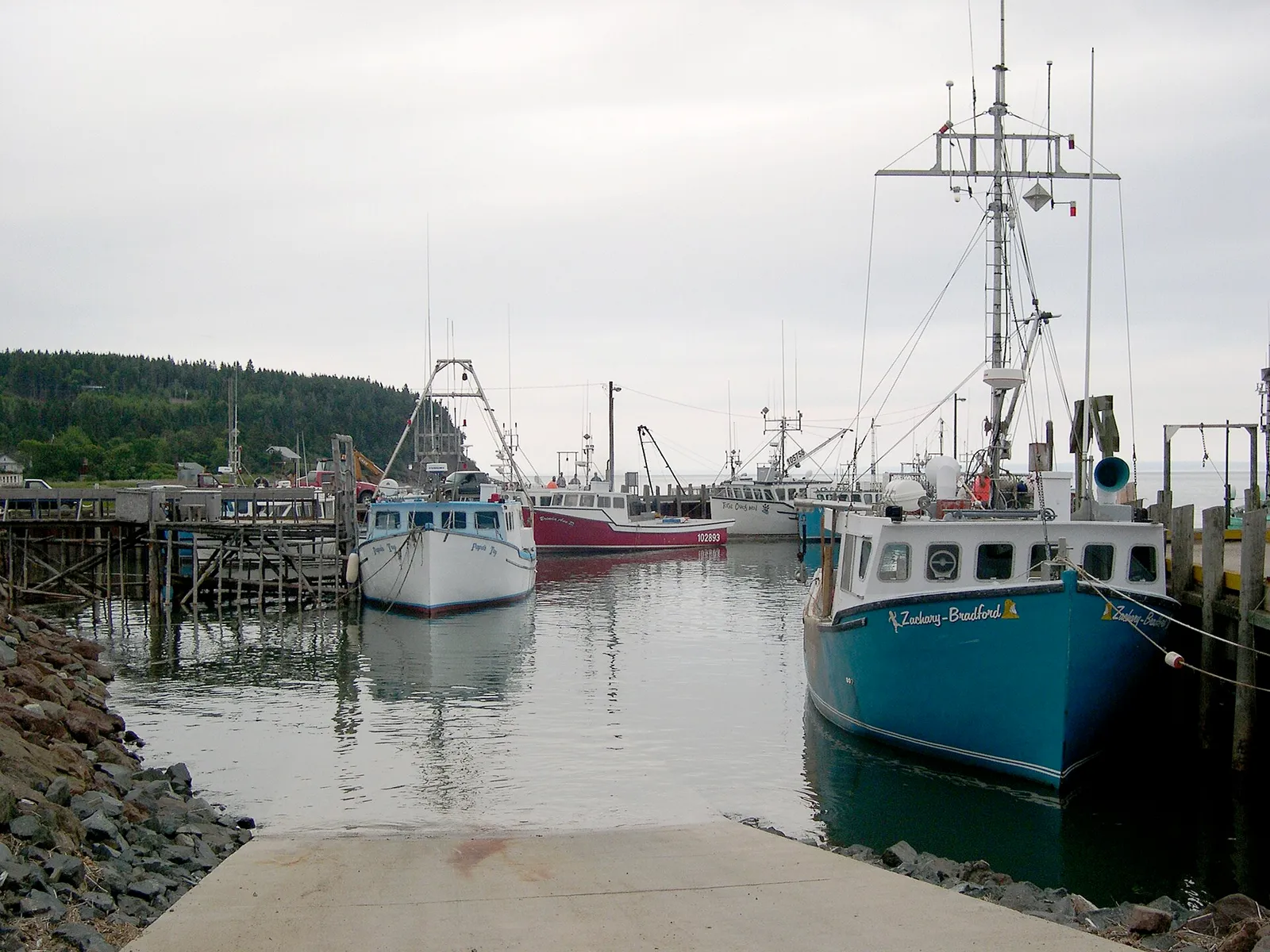 Kust vid Bay of Fundy, känd för världens högsta tidvatten